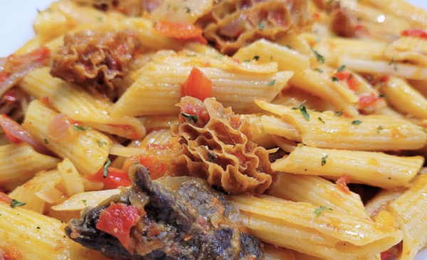 Jollof Penne Pasta